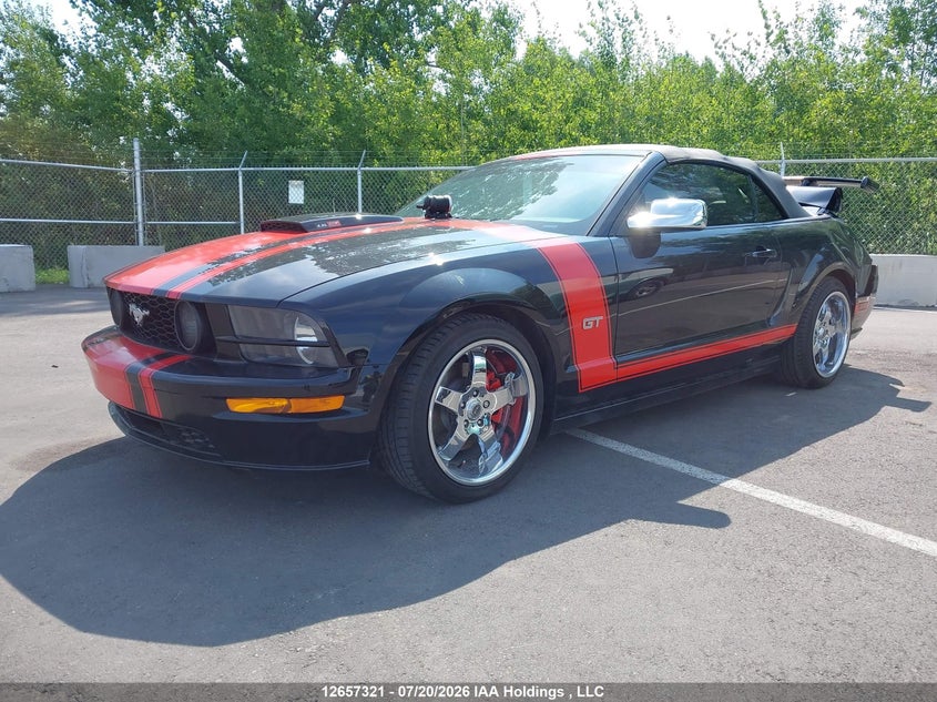 2008 Ford Mustang, Rear, IAAI, VIN 1ZVHT85H085167395 — photo 2