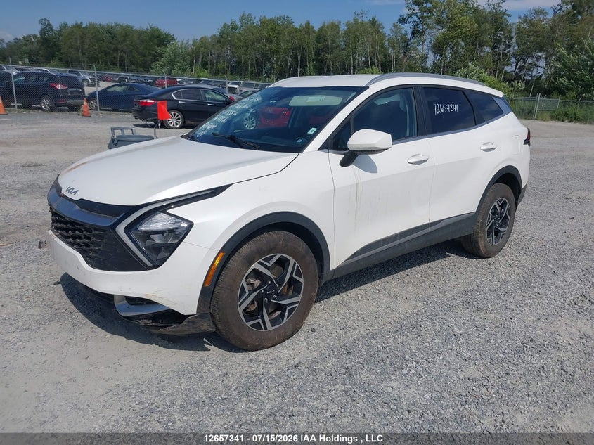 Vin: kndpucdf2r7313557, lot: 3059450, kia sportage lx 20242