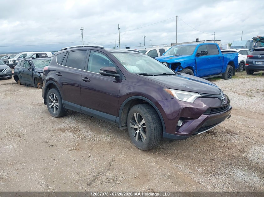 Vin: 2t3rfrev8gw437958, lot: 3059489, toyota rav4 xle 2016 img_1