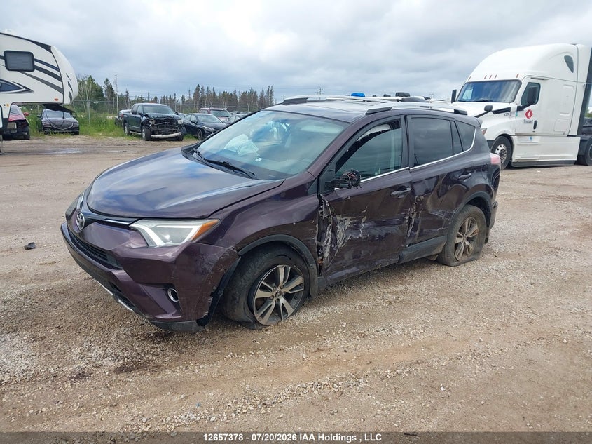 Vin: 2t3rfrev8gw437958, lot: 3059489, toyota rav4 xle 20162