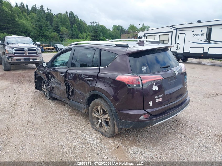 Vin: 2t3rfrev8gw437958, lot: 3059489, toyota rav4 xle 20163
