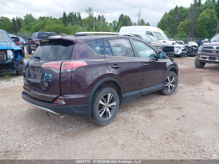 Vin: 2t3rfrev8gw437958, lot: 3059489, toyota rav4 xle 20164