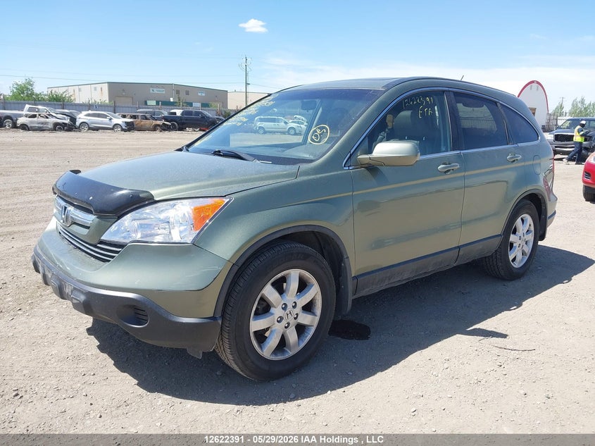 2009 Honda Cr-V Ex-L, Rear, IAAI, VIN 5J6RE48789L805106 — photo 2