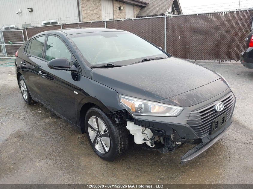 2019 Hyundai Ioniq Sel VIN: KMHC75LC5KU115504 Lot: 12658579