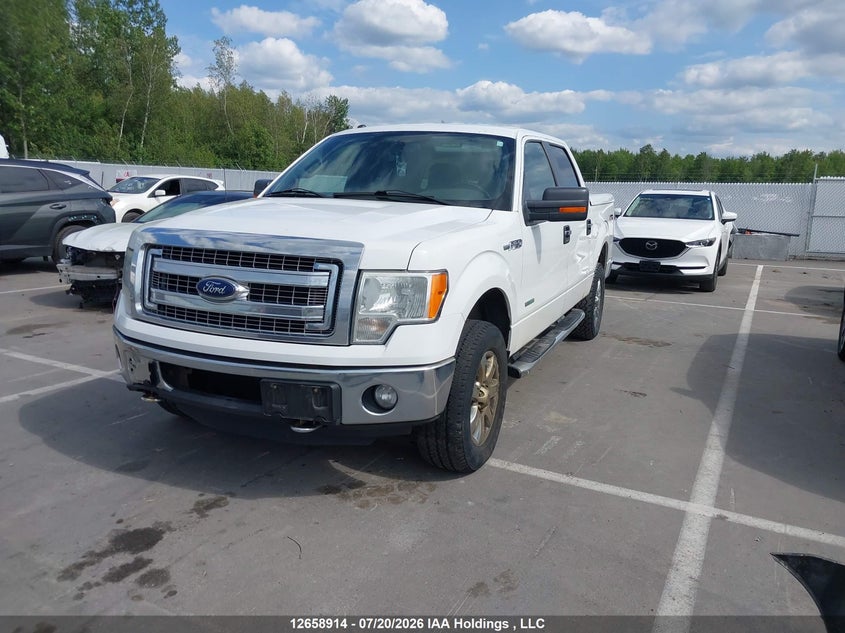 2013 Ford F150 Supercrew, Charity, IAAI, VIN 1FTFW1ET6DKE31342 — photo 2