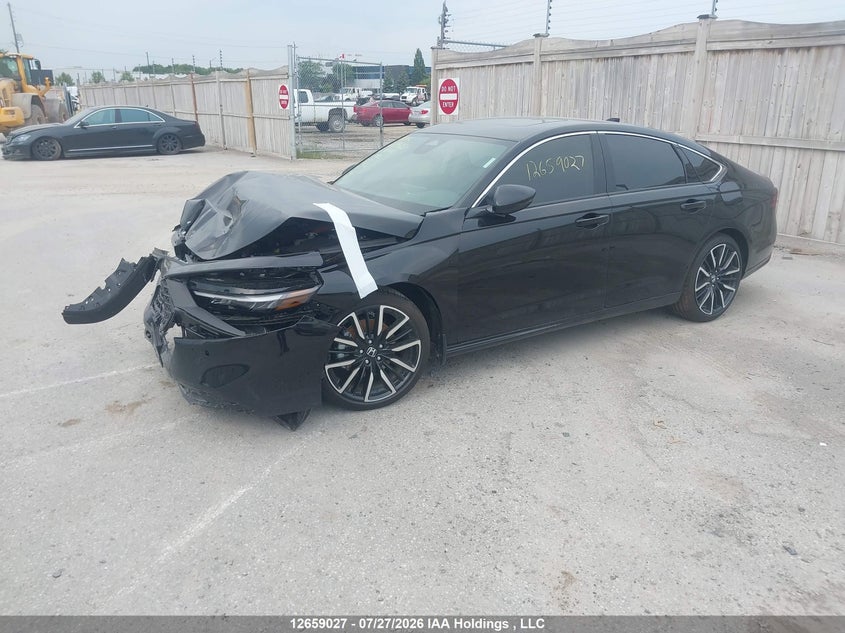 Vin: 1hgcy2f81ta801115, lot: 3061266, honda accord 20262