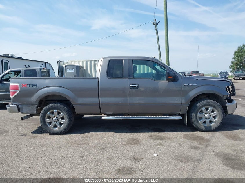 2013 Ford F-150 Xlt VIN: 1FTEX1EM2DFA70248 Lot: 12659533