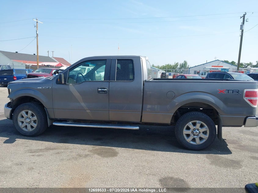 2013 Ford F-150 Xlt VIN: 1FTEX1EM2DFA70248 Lot: 12659533