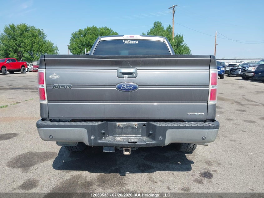 2013 Ford F-150 Xlt VIN: 1FTEX1EM2DFA70248 Lot: 12659533