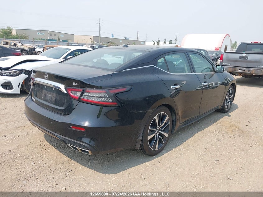 Vin: 1n4aa6dv6pc509745, lot: 3062186, nissan maxima sl 20234