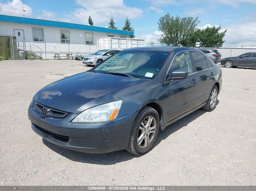 2004 Honda Accord, Удар ззаду, IAAI, VIN 1HGCM66424A804168 — фото 2