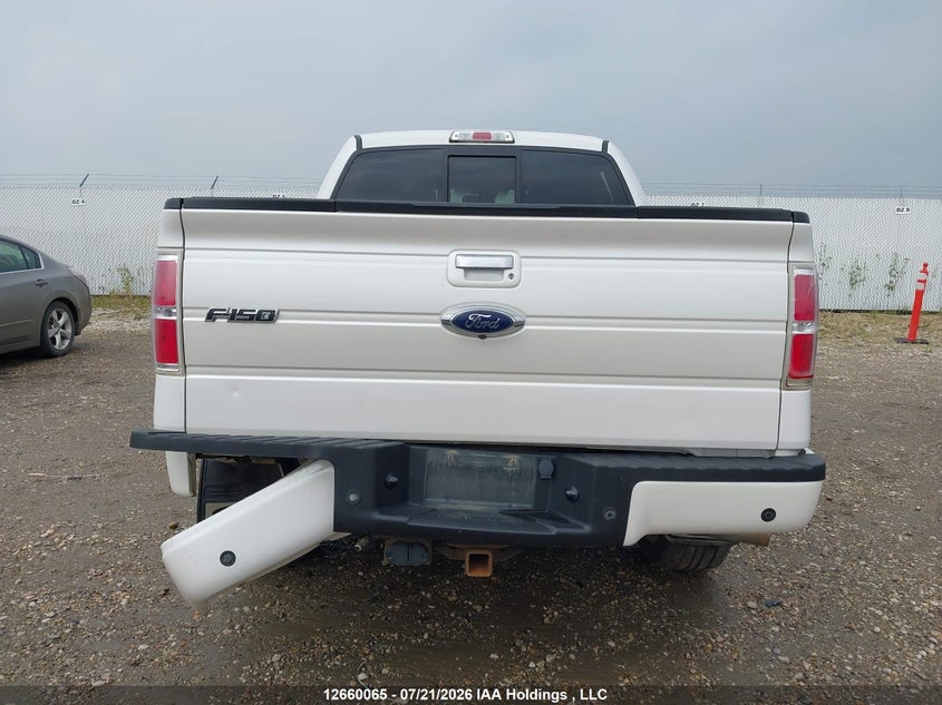 2014 FORD F-150 PICKUP 6.2L V8 FI SOHC 16V NF2