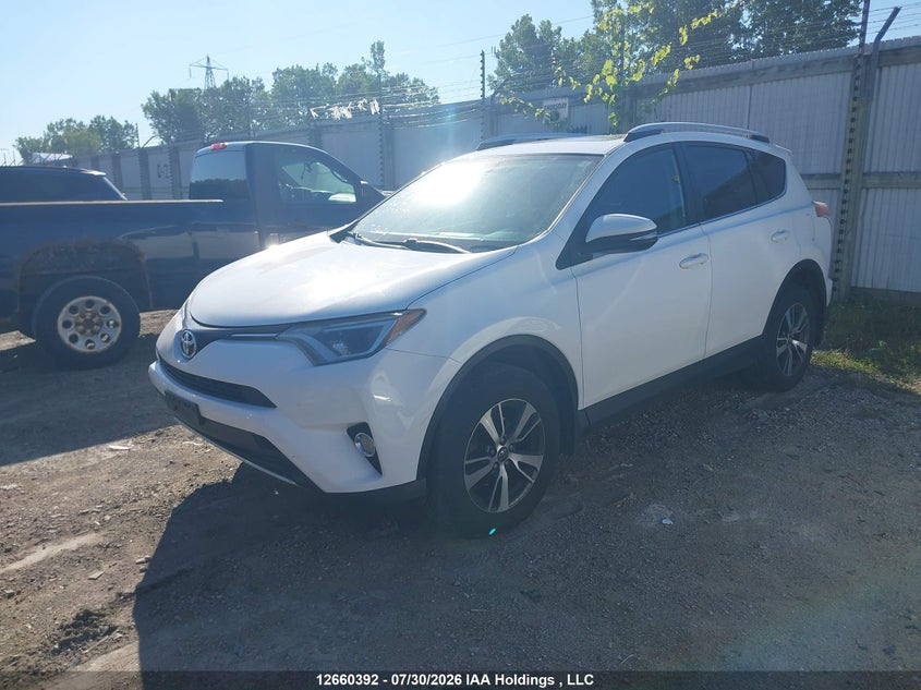 2016 Toyota RAV 4, Rear, IAAI, VIN 2T3RFREV8GW430539 — photo 2