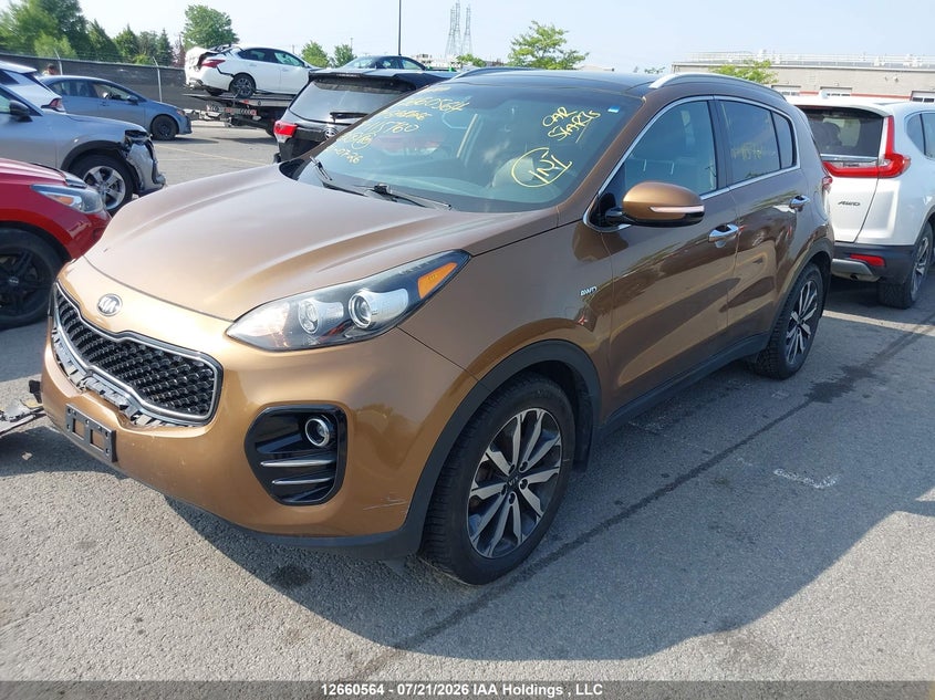 2017 Kia Sportage Ex/Ex Premium/Ex Tech, Правый бок, IAAI, VIN KNDPNCAC9H7115760 — фото 2