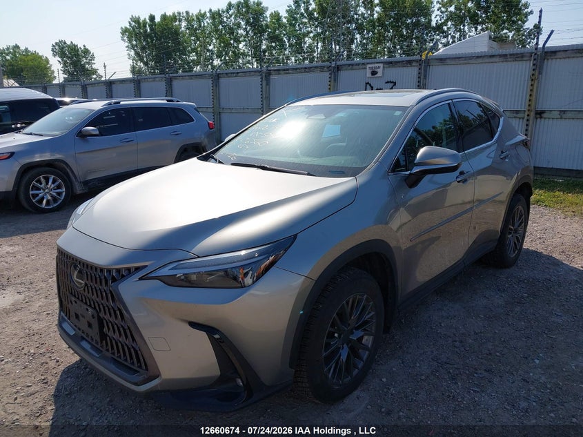 2024 Lexus NX, Theft Recovery, IAAI, VIN 2T2GKCEZ6RC016560 — photo 2