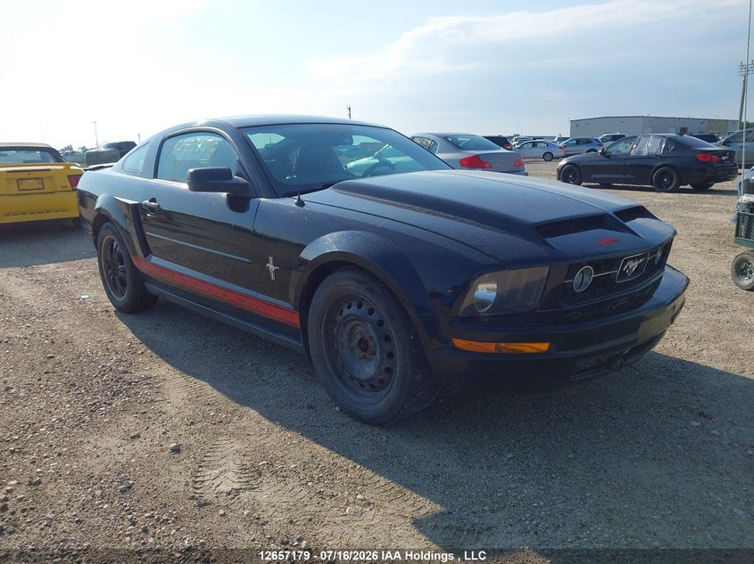 1ZVHT80N385190781 FORD MUSTANG Photo 1
