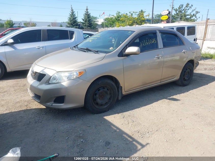 2010 Toyota Corolla, Удар сзади, IAAI, VIN 2T1BU4EE2AC345966 — фото 2