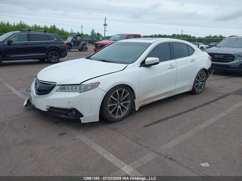 2015 Acura TLX, Удар сзади, IAAI, VIN 19UUB3F71FA800182 — фото 2