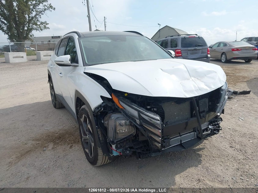 2024 Hyundai Tucson Luxury Awd, Удар спереди, IAAI, VIN KM8JCCD18RU144476