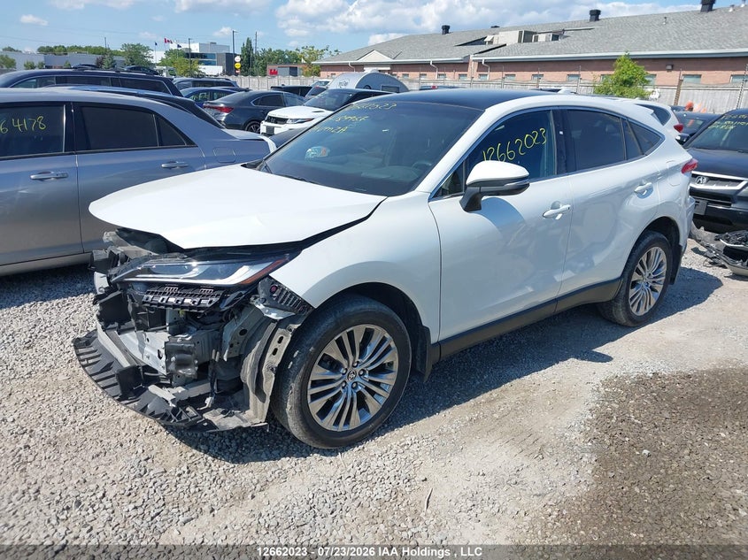 Vin: jteaaaah3rj189967, lot: 3064378, toyota venza 20242