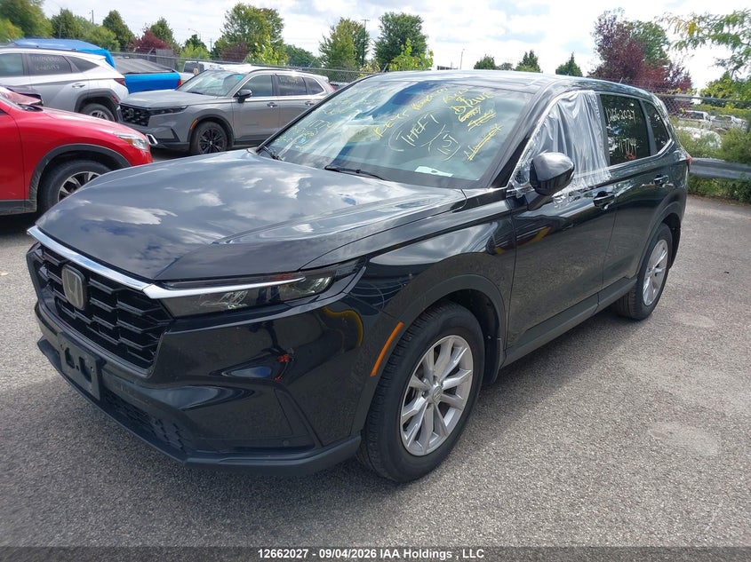 Vin: 2hkrs4h73rh117744, lot: 3064382, honda cr-v exl 20242