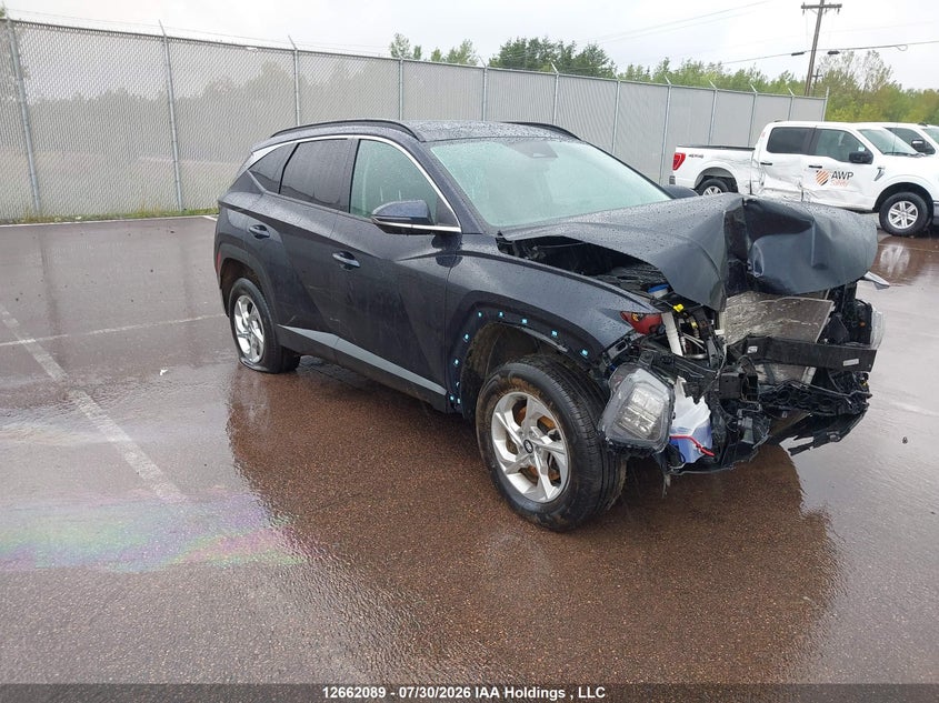 Vin: km8jccdexru307373, lot: 3064463, hyundai tucson 2024 img_1