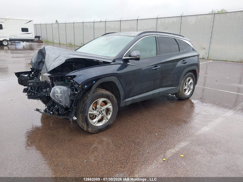 Vin: km8jccdexru307373, lot: 3064463, hyundai tucson 20242