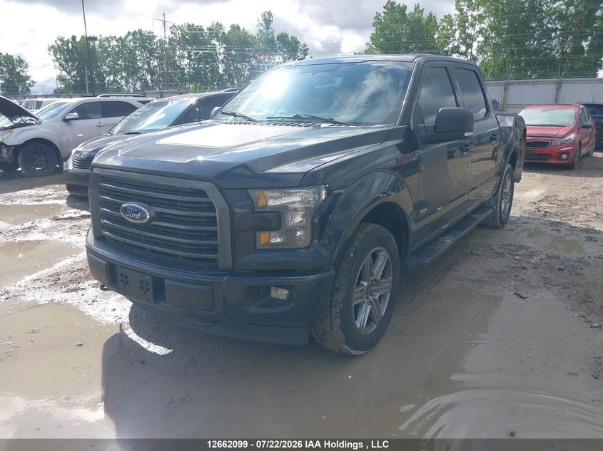 2017 Ford F-150, Rear, IAAI, VIN 1FTEW1EG2HFC08390 — photo 2