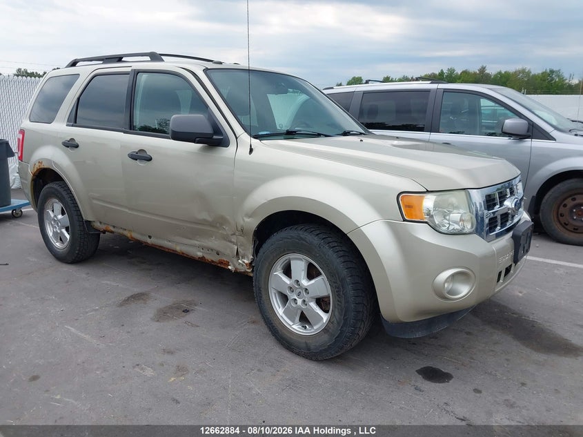 Vin: 1fmcu0dgxbkb86772, lot: 3065334, ford escape xlt 2011 img_1