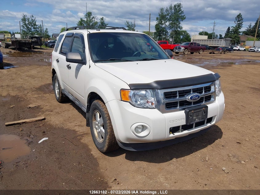 Vin: 1fmcu9dg1akb72472, lot: 3065633, ford escape xlt 2010 img_1
