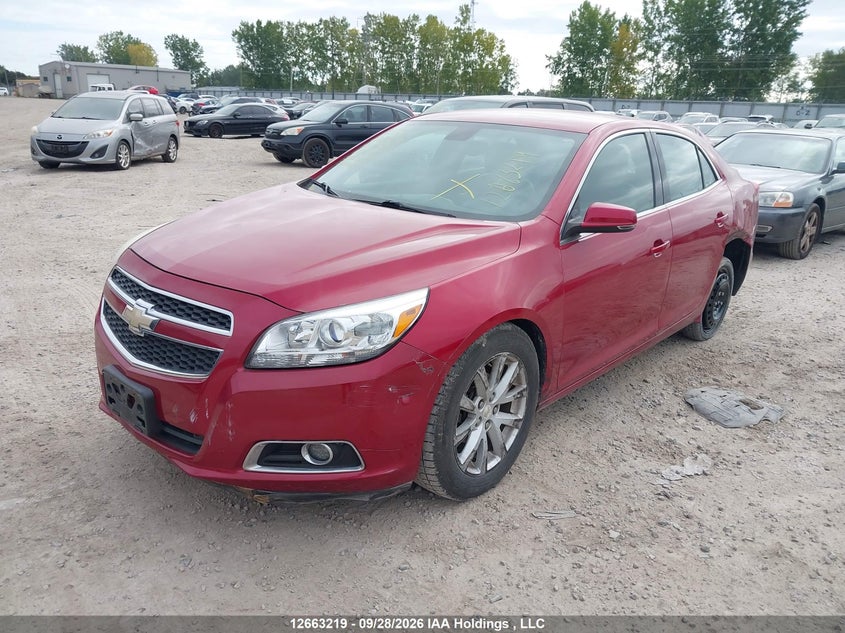 2013 Chevrolet Malibu 2Lt, Левый бок, IAAI, VIN 1G11E5SA6DF301490 — фото 2