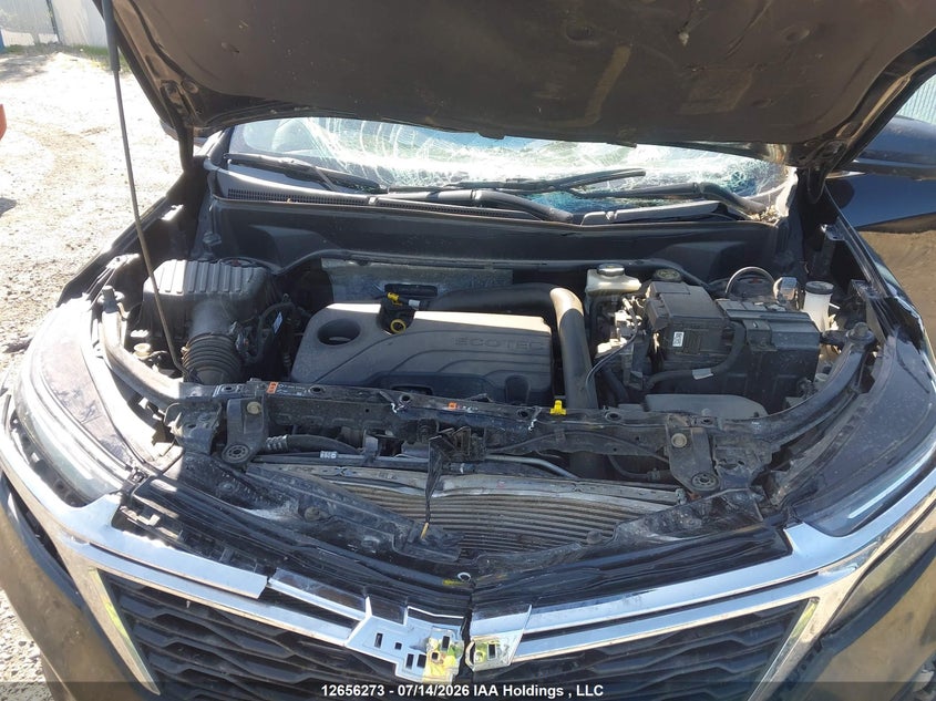 2023 Chevrolet Equinox Lt VIN: 3GNAXUEG4PL182058 Lot: 12656273X