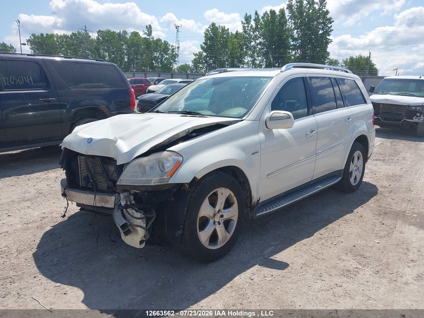 Vin: 4jgbf2fe0aa613619, lot: 3066058, mercedes-benz gl 350 bluetec 20102