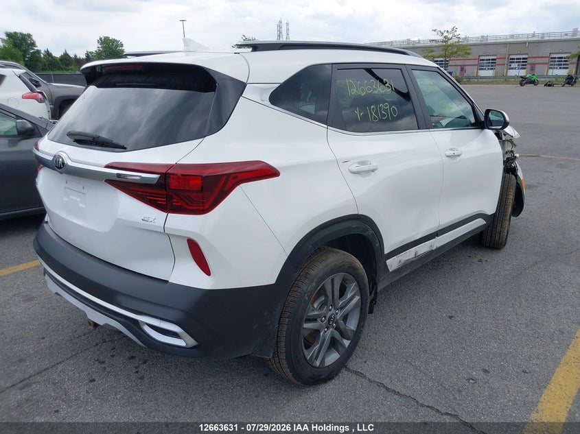 Vin: kndeucaa9m7181390, lot: 3066130, kia seltos 20214