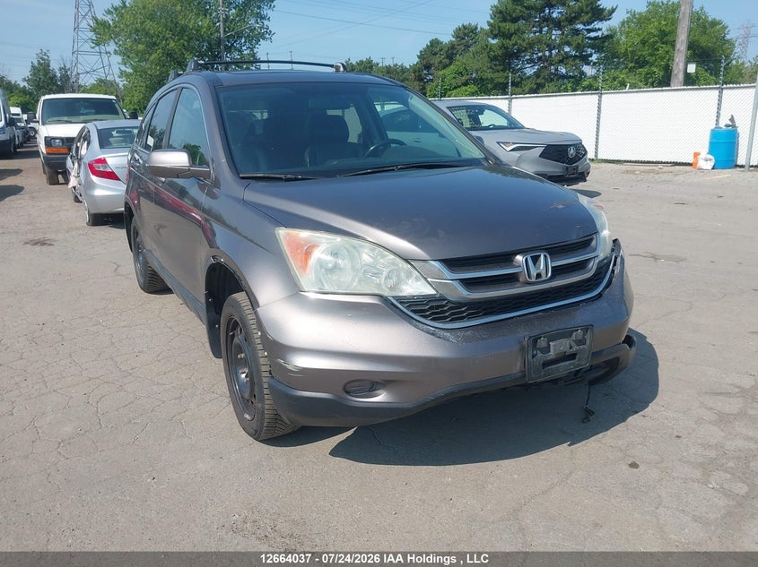 Vin: 5j6re4h72al811844, lot: 3066545, honda cr-v exl 2010 img_1