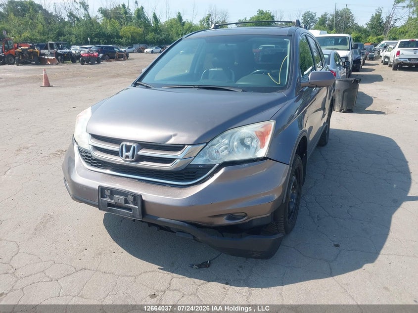 Vin: 5j6re4h72al811844, lot: 3066545, honda cr-v exl 20102