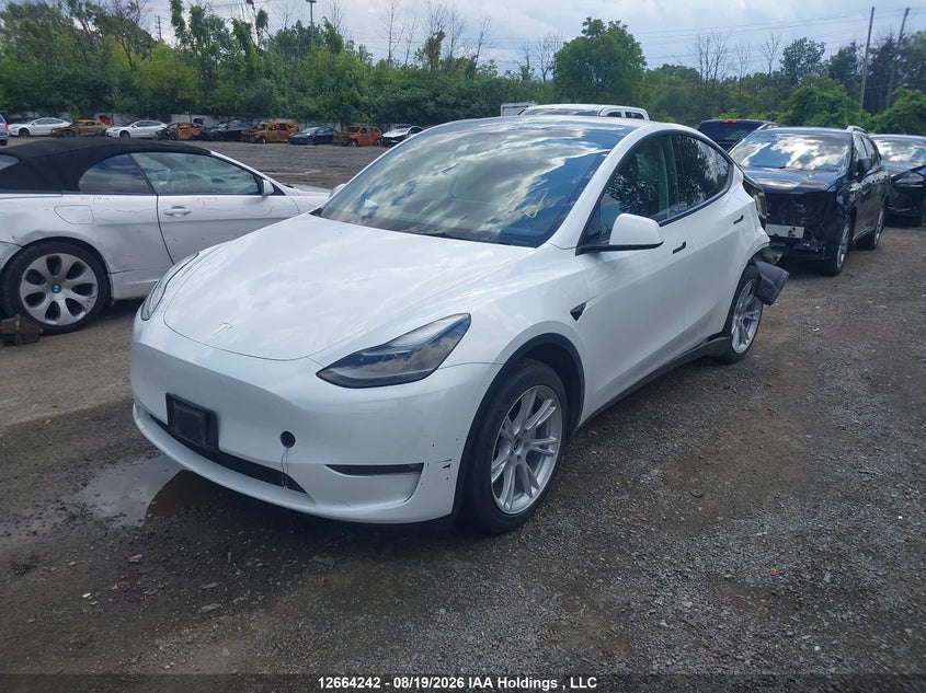 2023 Tesla Model Y, Удар ззаду, IAAI, VIN 7SAYGDEE6PF644465 — фото 2