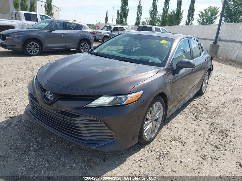 2018 Toyota Camry Hybrid/Le/Xle/Se, Rear, IAAI, VIN 4T1B21HK3JU502411 — photo 2