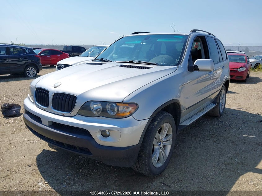 2005 BMW X5, Вандализм, IAAI, VIN 5UXFA13595LY03284 — фото 2