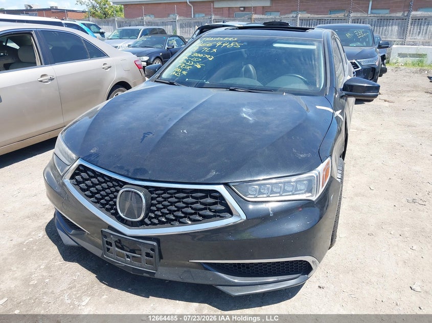 Vin: 19uub1f51ka800793, lot: 3067070, acura tlx technology 20192