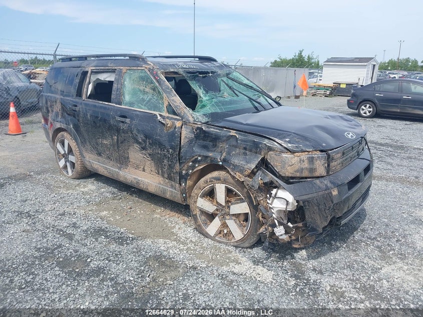 Vin: 5nmp4dgl8sh134199, lot: 3067218, hyundai santa fe limited 2025 img_1