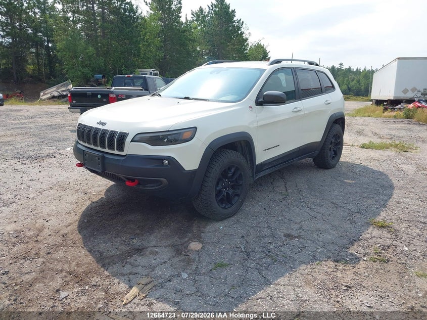 2019 Jeep Cherokee, Удар ззаду, IAAI, VIN 1C4PJMBXXKD107436 — фото 2
