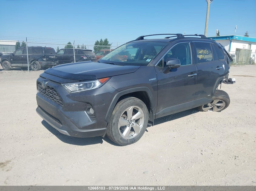2019 Toyota RAV 4, Удар ззаду, IAAI, VIN 2T3DWRFV3KW006400 — фото 2