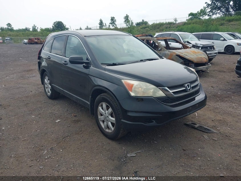 Vin: 5j6re4h32al804986, lot: 3067723, honda cr-v lx 2010 img_1