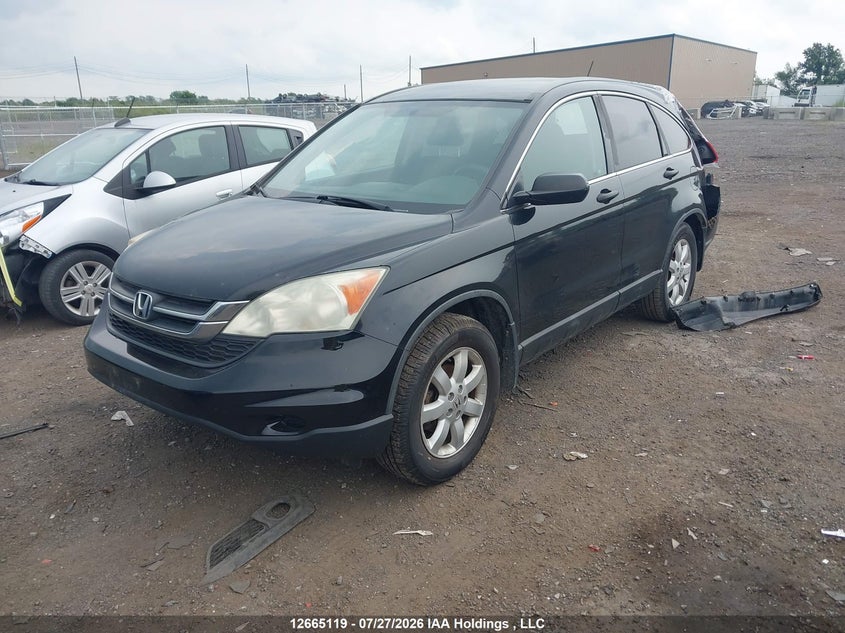 Vin: 5j6re4h32al804986, lot: 3067723, honda cr-v lx 20102