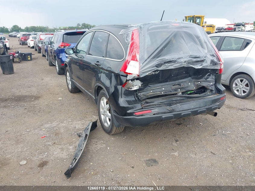 Vin: 5j6re4h32al804986, lot: 3067723, honda cr-v lx 20103