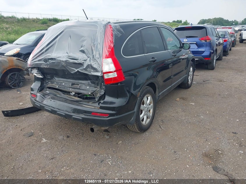 Vin: 5j6re4h32al804986, lot: 3067723, honda cr-v lx 20104