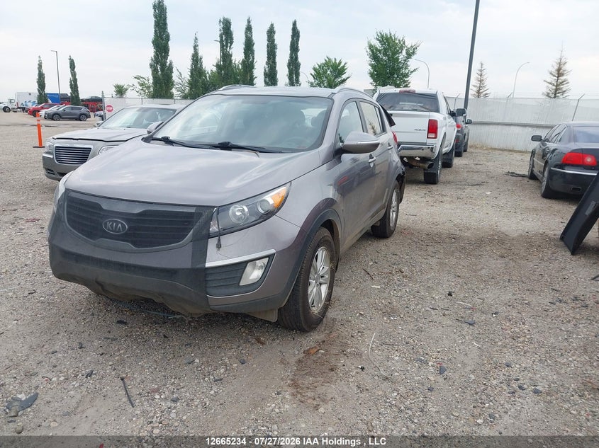 2011 Kia Sportage, Удар сзади, IAAI, VIN KNDPB3A22B7118491 — фото 2