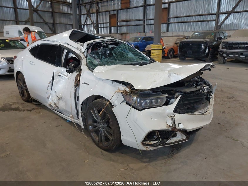 Vin: 19uub3f82ja802234, lot: 3067846, acura tlx elite 2018 img_1