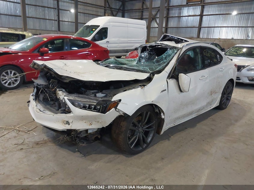 Vin: 19uub3f82ja802234, lot: 3067846, acura tlx elite 20182